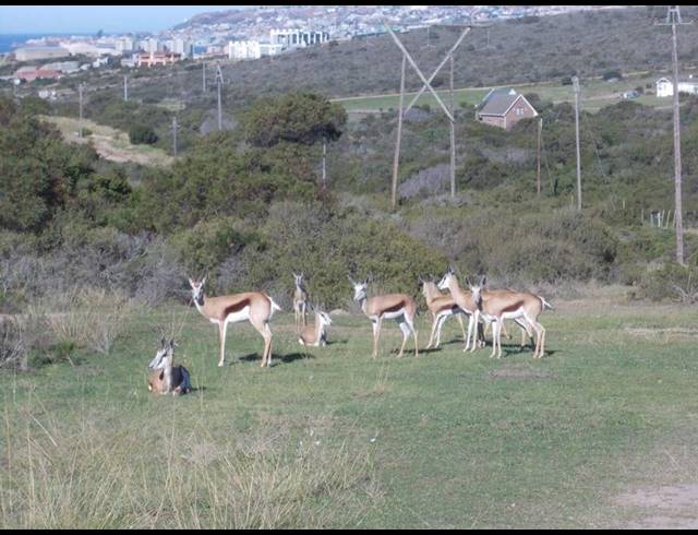 LAND FOR SALE IN NUM NUM CAPE ESTATE